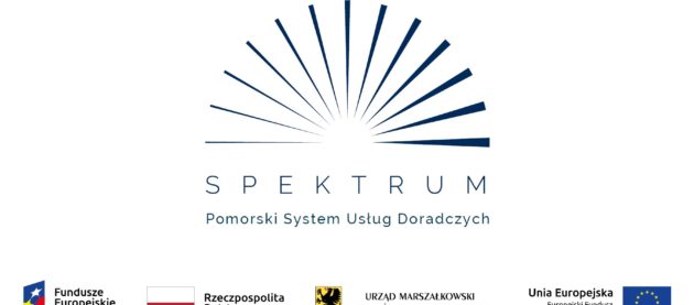 Rusza konkurs grantowy na usługi doradcze dla mikro-, małych i średnich firm z województwa pomorskiego w ramach projektu “SPEKTRUM”!